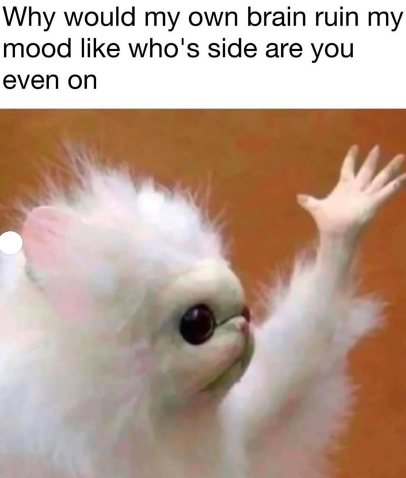 Why would my own brain ruin my mood like who's side are you even on