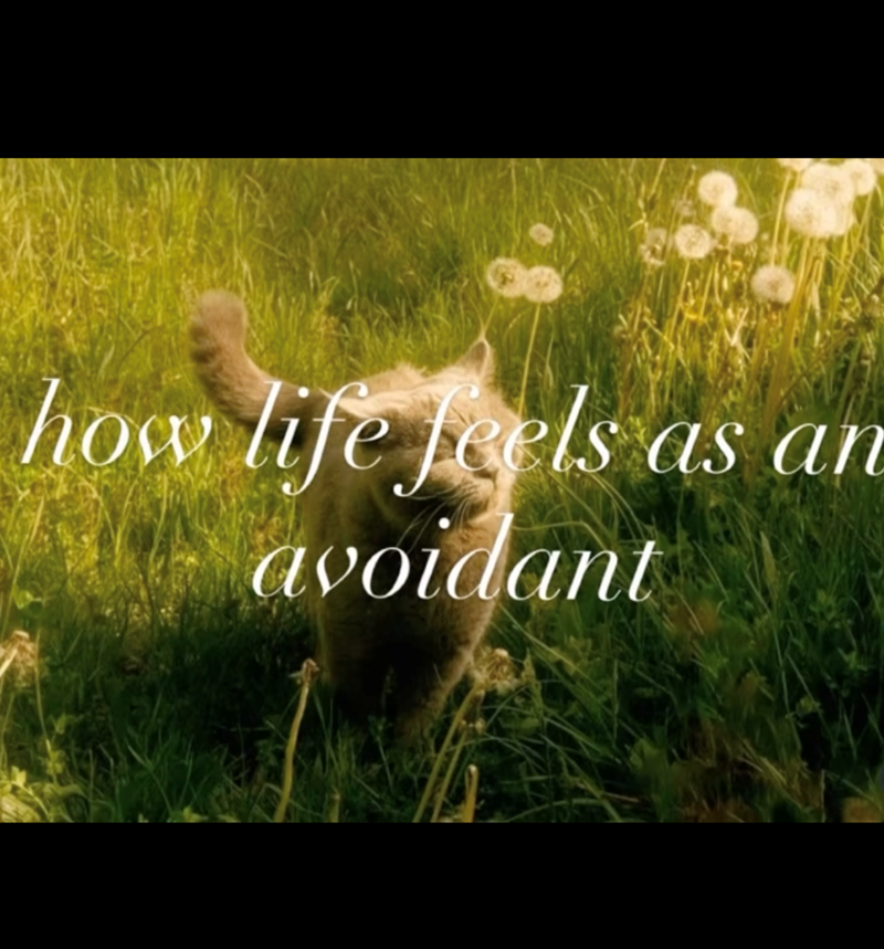 as an how life feels as avoidant