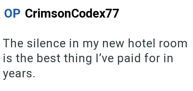 OP CrimsonCodex77 The silence in my new hotel room is the best thing I've paid for in years.