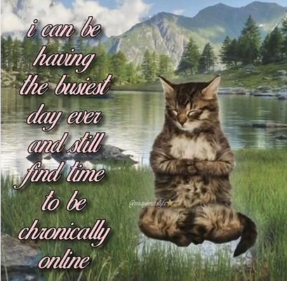 i can be having the busiest day ever and still find time to be chronically online @maymalife