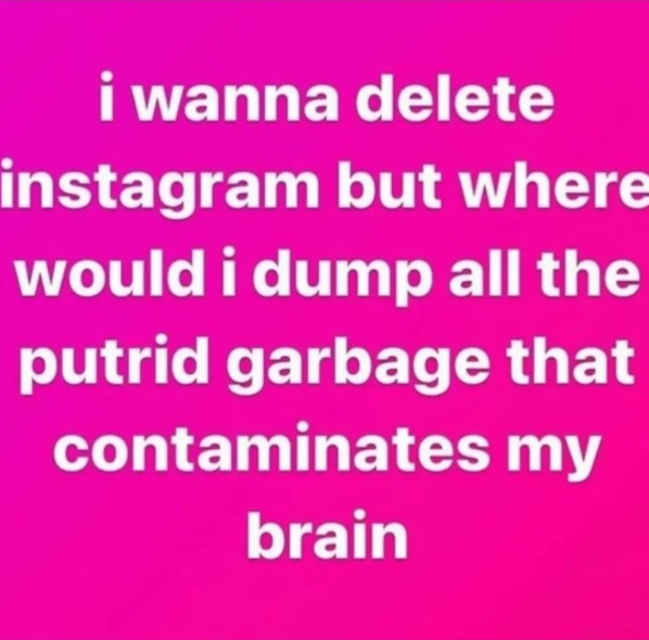 i wanna delete instagram but where would i dump all the putrid garbage that contaminates my brain