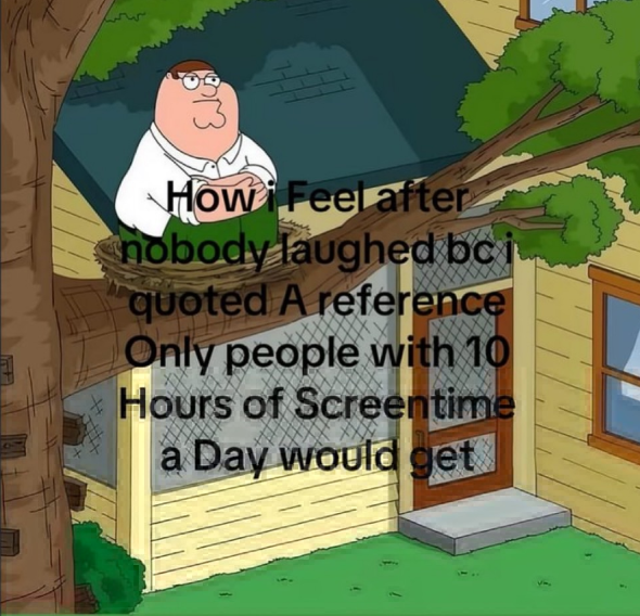 How Feel after nobody laughed bc i quoted A reference Only people with 10 Hours of Screentime a Day would get