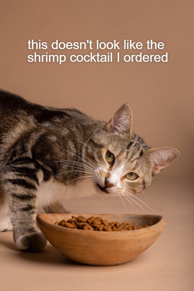 Cheezburger Image 10619268352