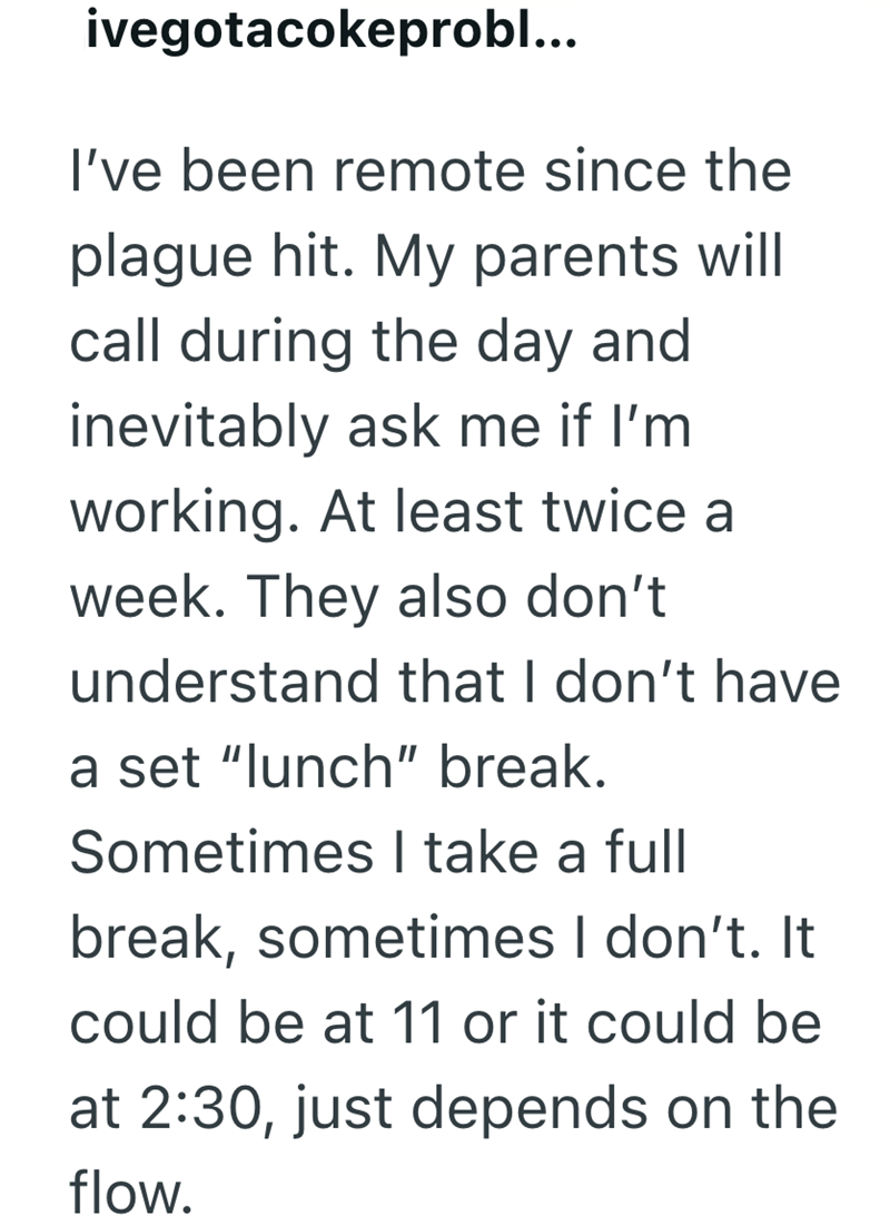 ivegotacokeprobl... I've been remote since the plague hit. My parents will call during the day and inevitably ask me if I'm working. At least twice a week. They also don't understand that I don't have a set "lunch" break. Sometimes I take a full break, sometimes I don't. It could be at 11 or it could be at 2:30, just depends on the flow.