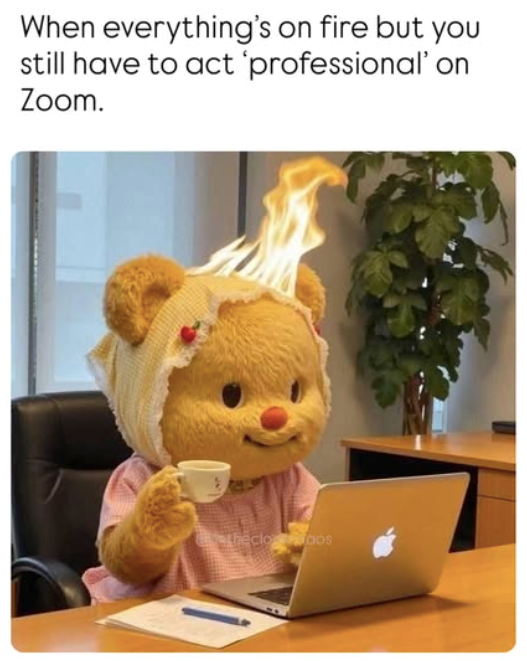 When everything's on fire but you still have to act 'professional' on Zoom. theclooos