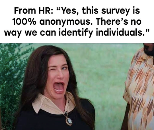 From HR: "Yes, this survey is 100% anonymous. There's no way we can identify individuals."