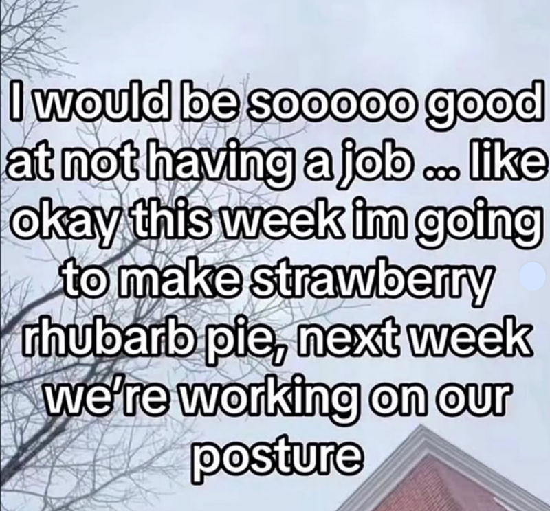 I would be sooooo good at not having a job... like okay this week im going to make strawberry rhubarb pie, next week we're working on our posture