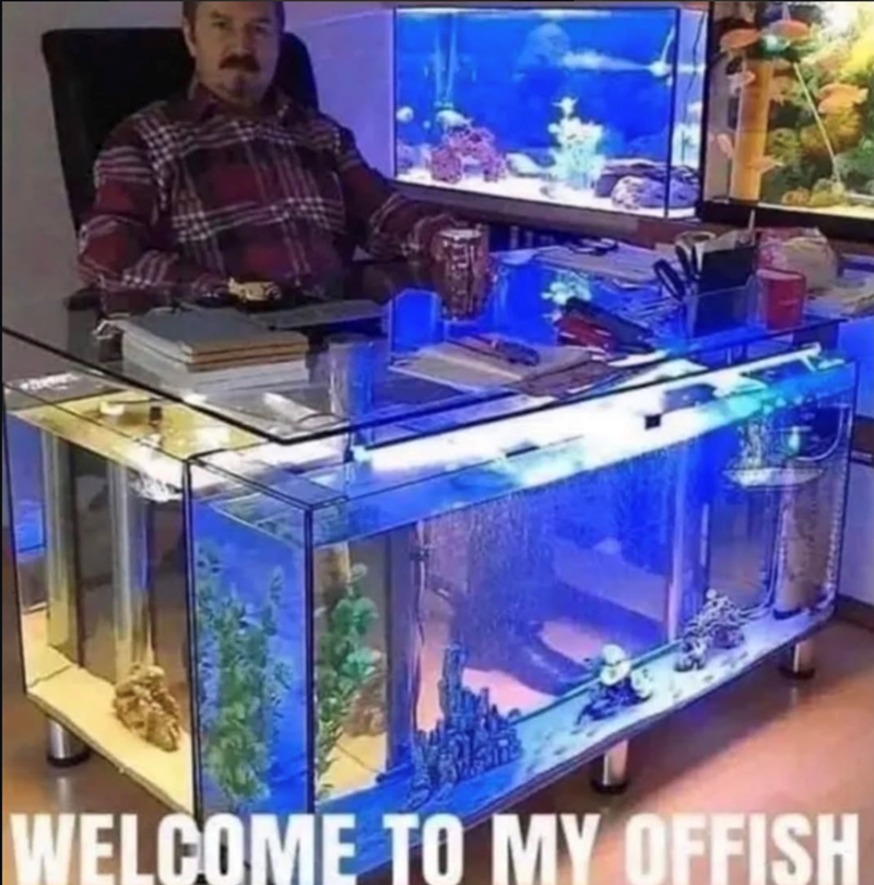 WELCOME TO MY OFFISH