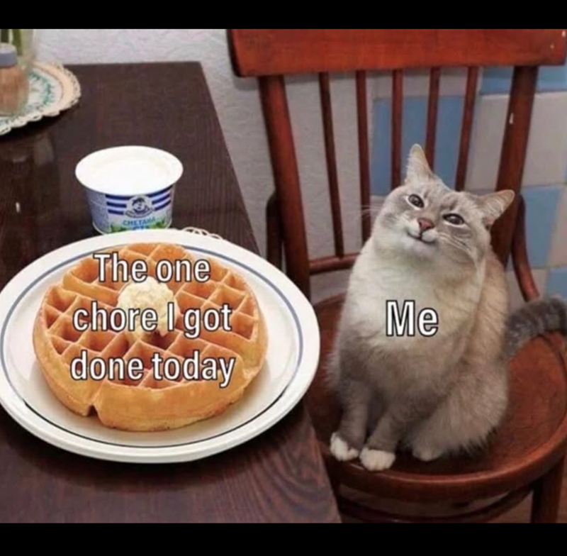 The one chore I got Me done today