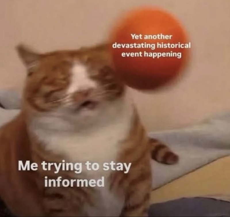 Yet another devastating historical event happening Me trying to stay informed