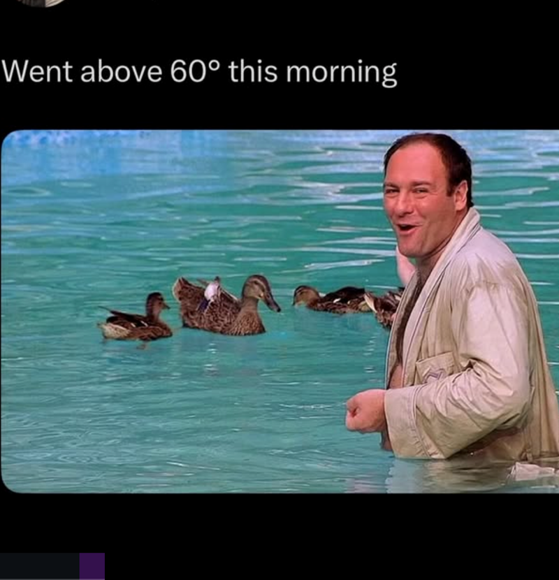 Went above 60° this morning