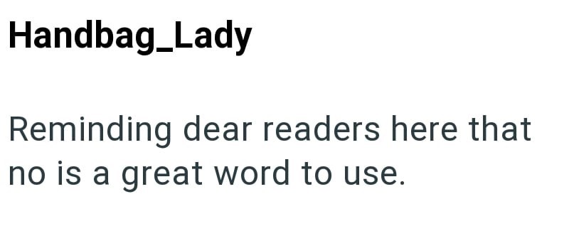 Handbag_Lady Reminding dear readers here that no is a great word to use.