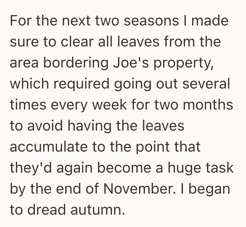 For the next two seasons I made sure to clear all leaves from the area bordering Joe's property, which required going out several times every week for two months to avoid having the leaves accumulate to the point that they'd again become a huge task by the end of November. I began to dread autumn.