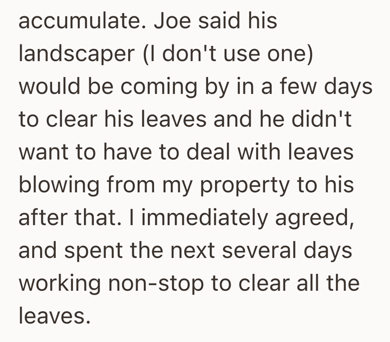 accumulate. Joe said his landscaper (I don't use one) would be coming by in a few days to clear his leaves and he didn't want to have to deal with leaves blowing from my property to his after that. I immediately agreed, and spent the next several days working non-stop to clear all the leaves.