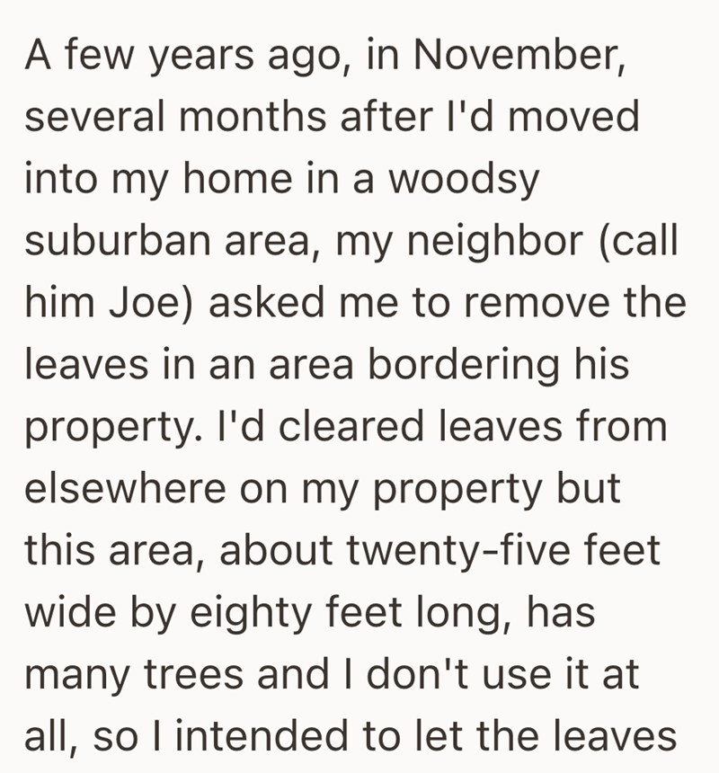 A few years ago, in November, several months after I'd moved into my home in a woodsy suburban area, my neighbor (call him Joe) asked me to remove the leaves in an area bordering his property. I'd cleared leaves from elsewhere on my property but this area, about twenty-five feet wide by eighty feet long, has many trees and I don't use it at all, so I intended to let the leaves