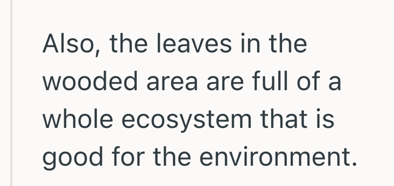 Also, the leaves in the wooded area are full of a whole ecosystem that is good for the environment.