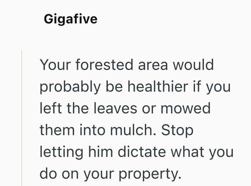 Gigafive Your forested area would probably be healthier if you left the leaves or mowed them into mulch. Stop letting him dictate what you do on your property.