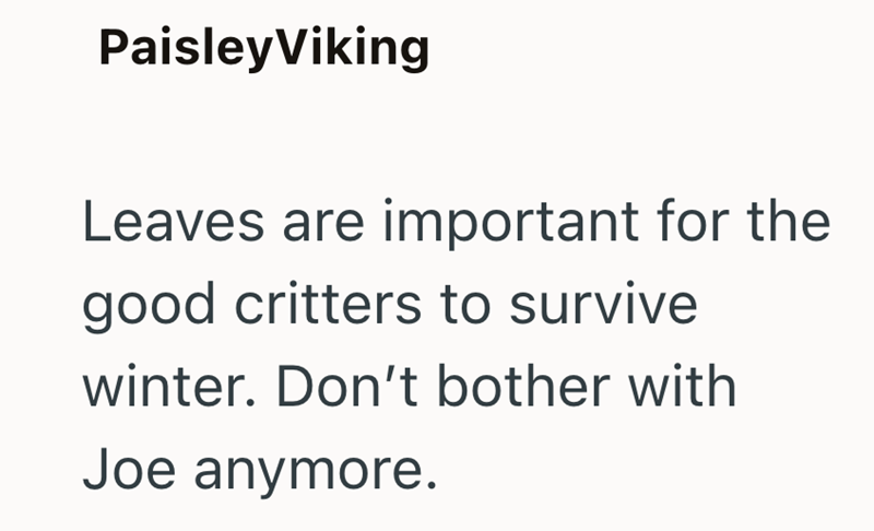 Paisley Viking Leaves are important for the good critters to survive winter. Don't bother with Joe anymore.