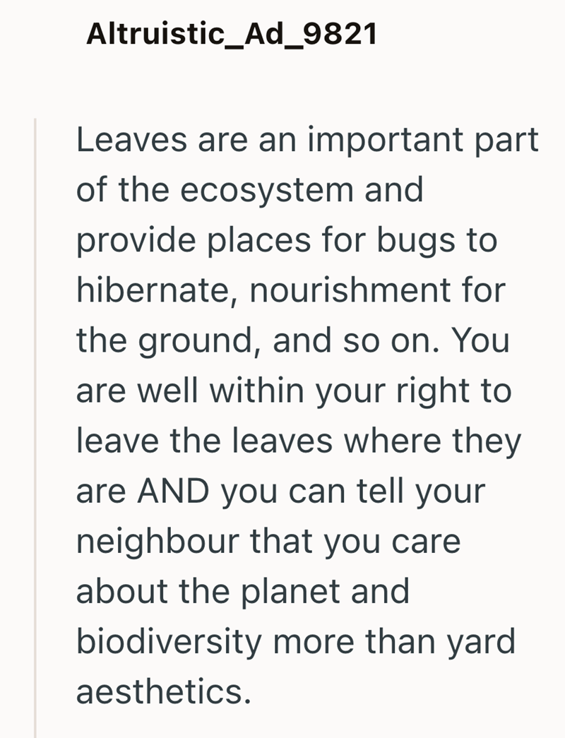Altruistic_Ad_9821 Leaves are an important part of the ecosystem and provide places for bugs to hibernate, nourishment for the ground, and so on. You are well within your right to leave the leaves where they are AND you can tell your neighbour that you care about the planet and biodiversity more than yard aesthetics.