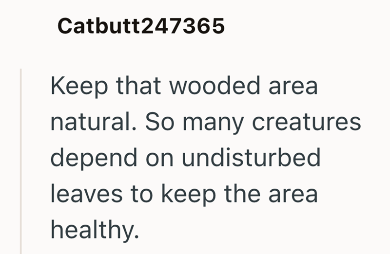 Catbutt247365 Keep that wooded area natural. So many creatures depend on undisturbed leaves to keep the area healthy.