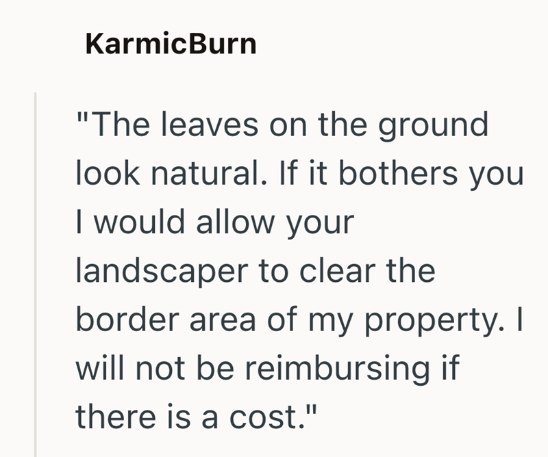 KarmicBurn "The leaves on the ground look natural. If it bothers you I would allow your landscaper to clear the border area of my property. I will not be reimbursing if there is a cost."