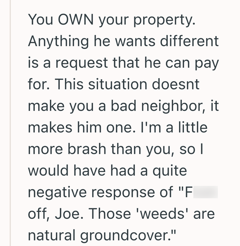 You OWN your property. Anything he wants different is a request that he can pay for. This situation doesnt make you a bad neighbor, it makes him one. I'm a little more brash than you, so I would have had a quite negative response of "F off, Joe. Those 'weeds' are natural groundcover."