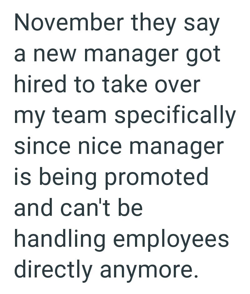 November they say a new manager got hired to take over my team specifically since nice manager is being promoted and can't be handling employees directly anymore.