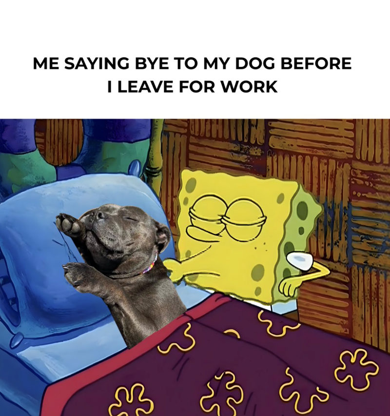 ME SAYING BYE TO MY DOG BEFORE I LEAVE FOR WORK 23 كن