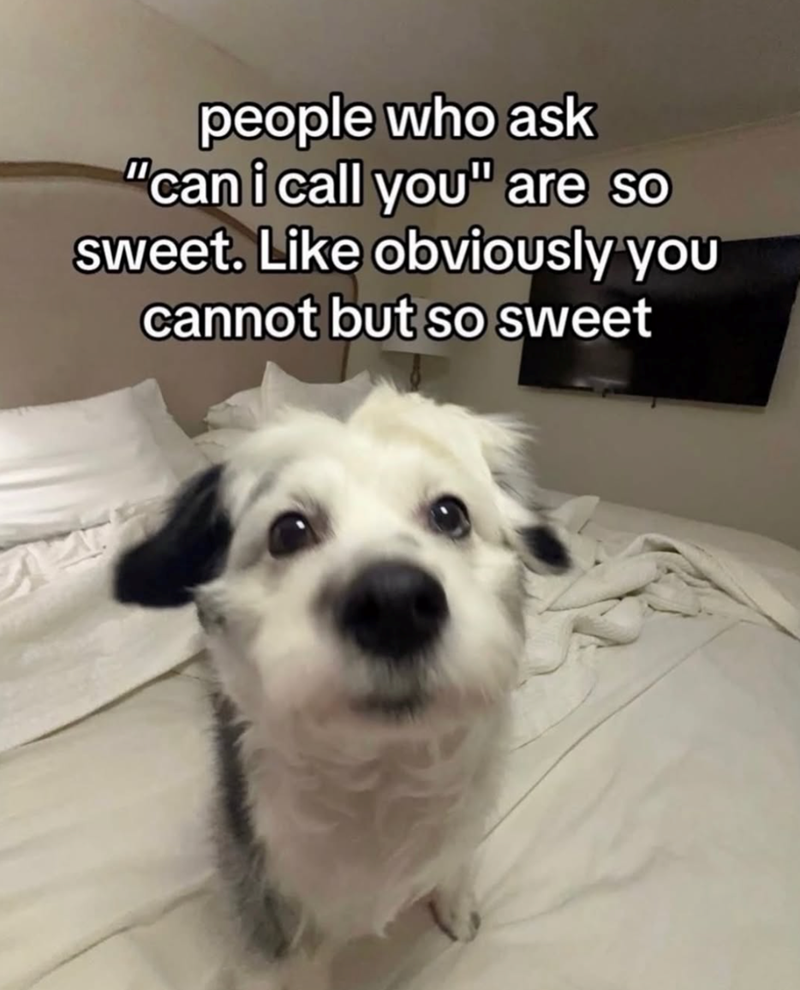 people who ask "can i call you" are so sweet. Like obviously you cannot but so sweet