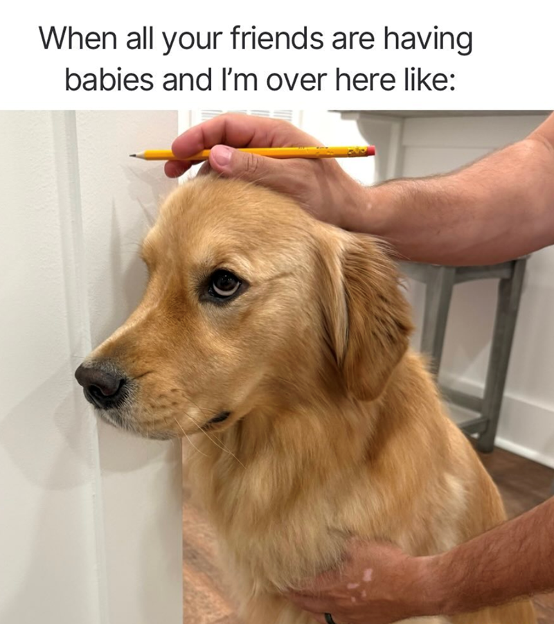 When all your friends are having babies and I'm over here like: