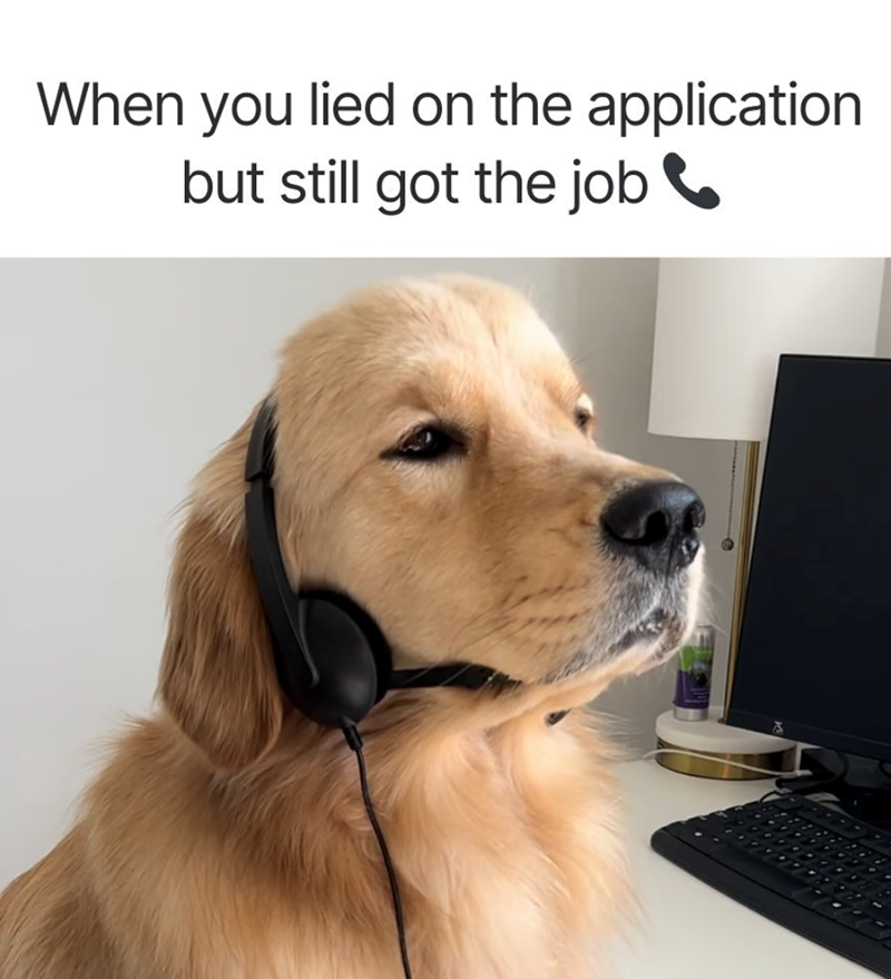 When you lied on the application but still got the job