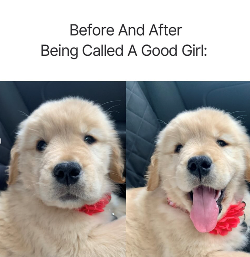 Before And After Being Called A Good Girl:
