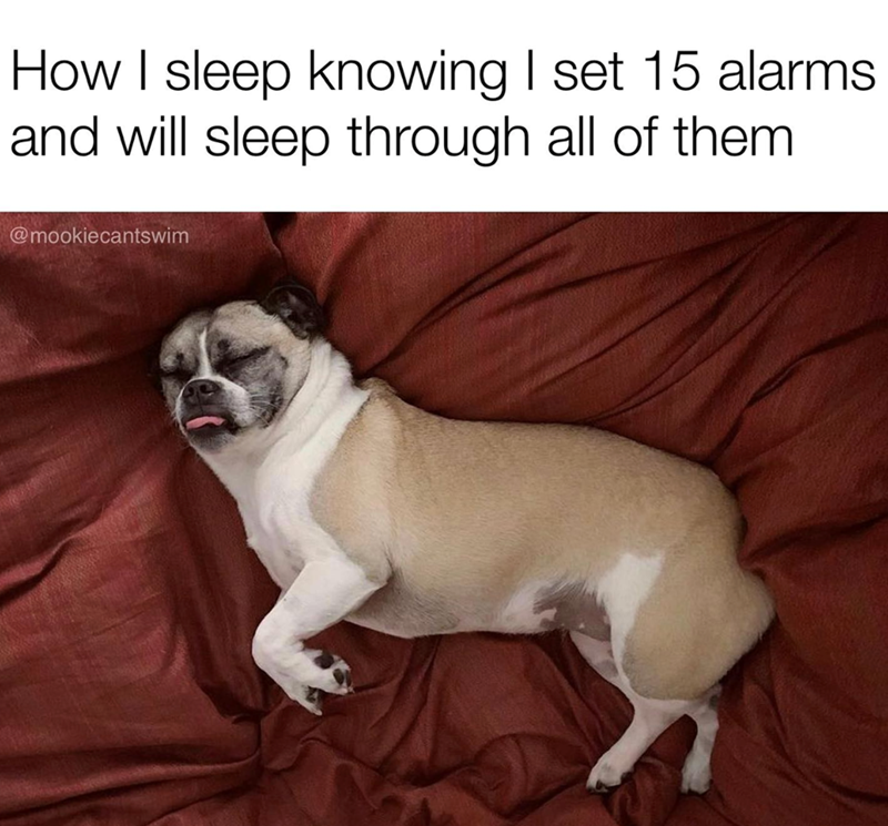 How I sleep knowing I set 15 alarms and will sleep through all of them @mookiecantswim