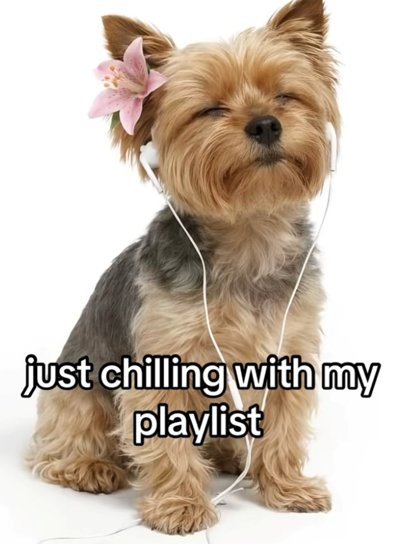 just chilling with my playlist