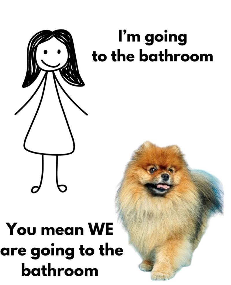 I'm going to the bathroom You mean WE are going to the bathroom