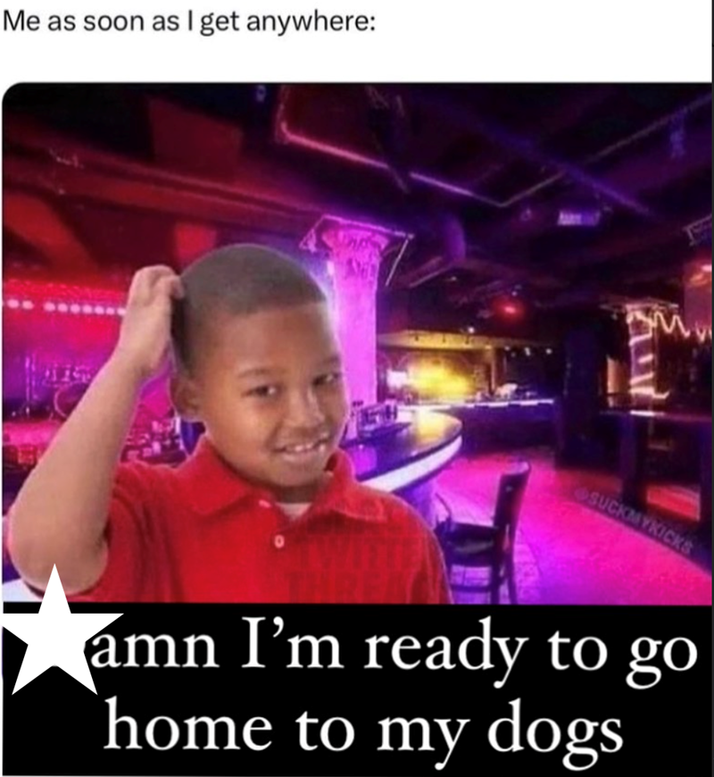 Me as soon as I get anywhere: SUCKMYKICKS amn I'm ready to go home to my dogs