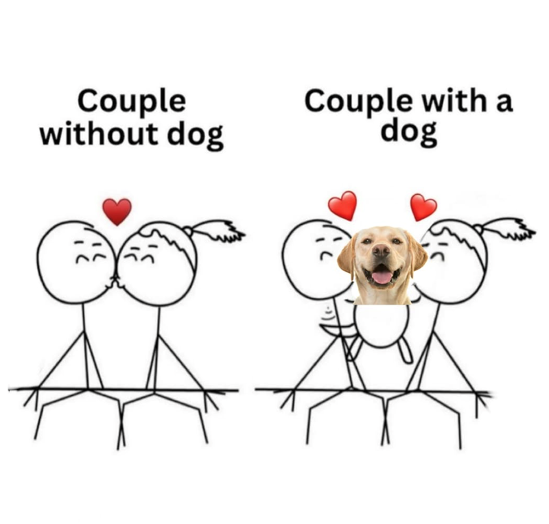 Couple Couple with a without dog dog