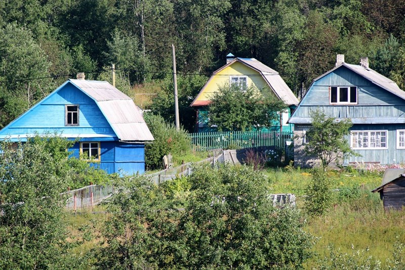 A few houses sit next to each other in a green, foresty area