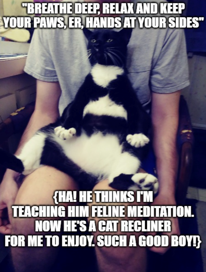 "BREATHE DEEP, RELAX AND KEEP YOUR PAWS, ER, HANDS AT YOUR SIDES" {HA! HE THINKS I'M TEACHING HIM FELINE MEDITATION. NOW HE'S A CAT RECLINER FOR ME TO ENJOY. SUCH A GOOD BOY!}