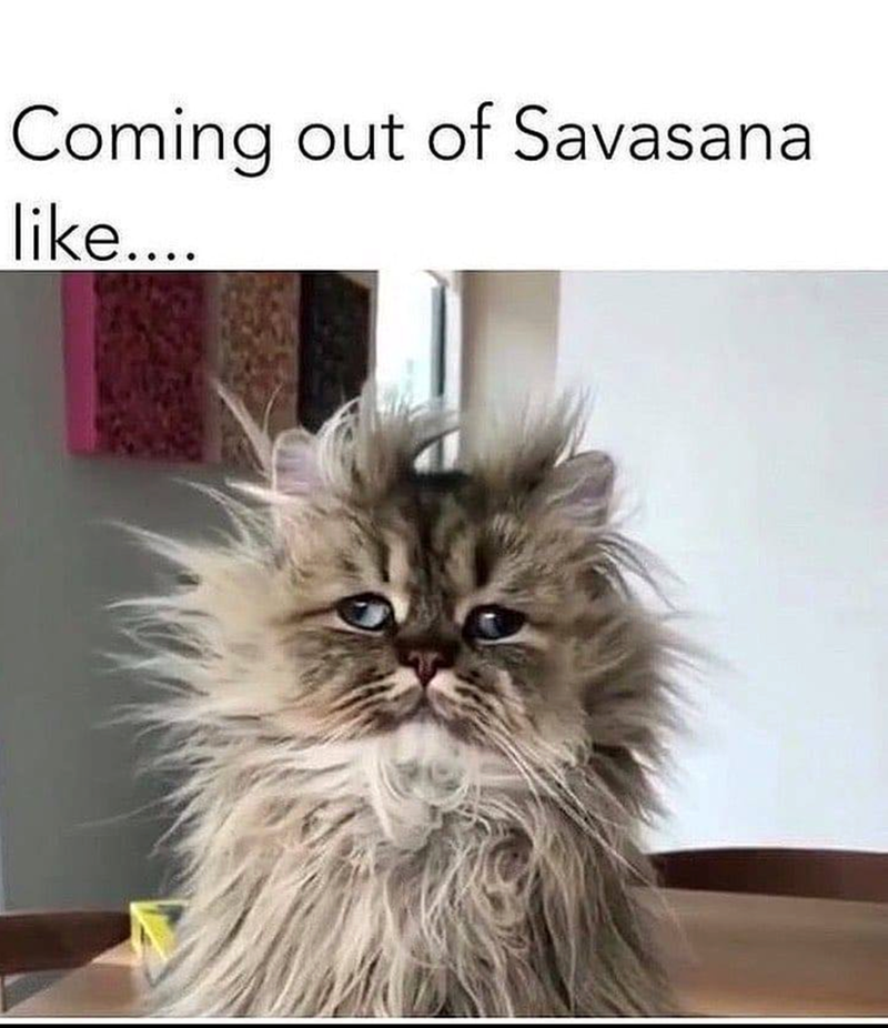 Coming out of Savasana like....