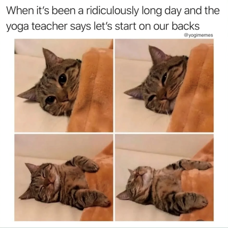 When it's been a ridiculously long day and the yoga teacher says let's start on our backs @yogimemes