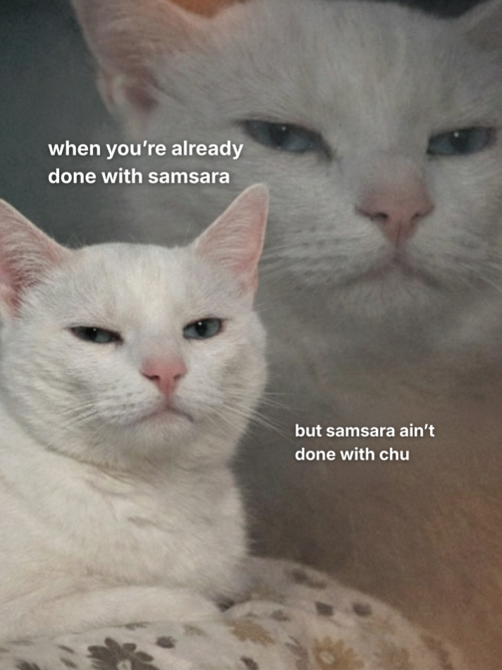 when you're already done with samsara but samsara ain't done with chu
