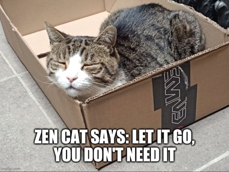 imgflip.com EM ZEN CAT SAYS: LET IT GO, YOU DON'T NEED IT