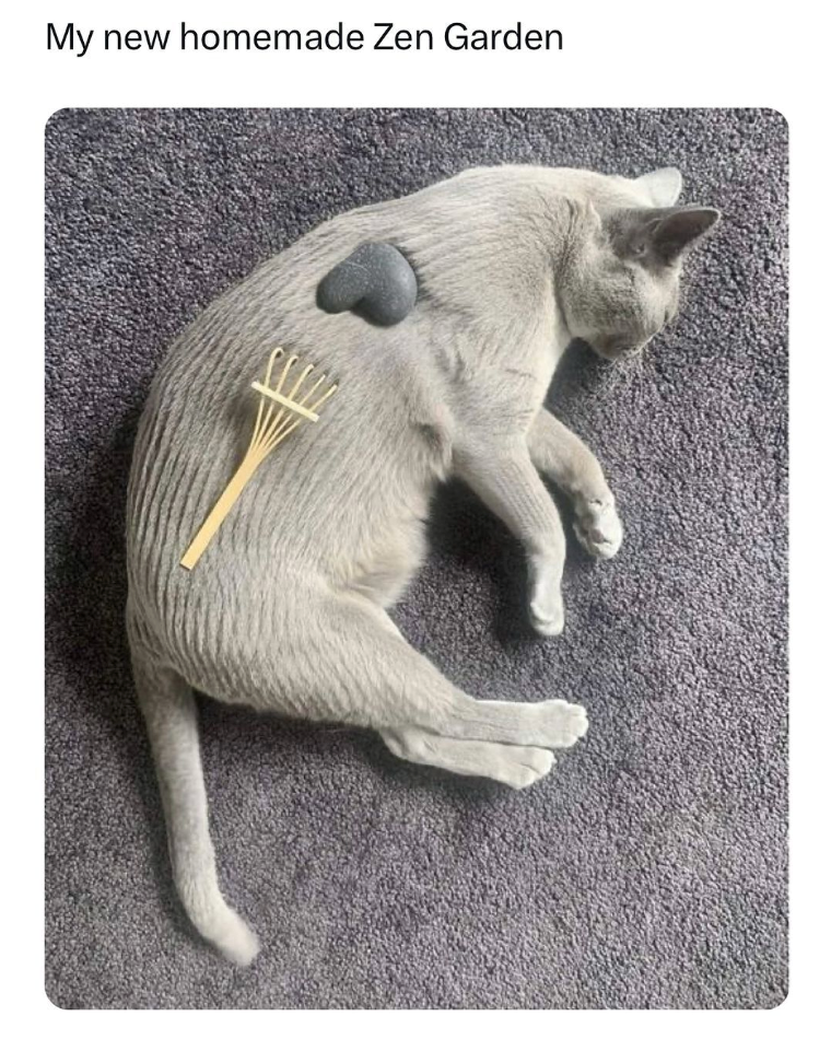 My new homemade Zen Garden