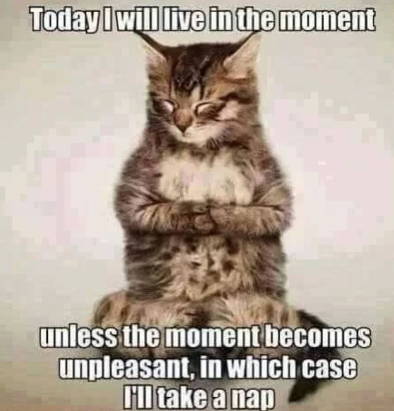 Today I will live in the moment unless the moment becomes unpleasant, in which case I'll take a nap