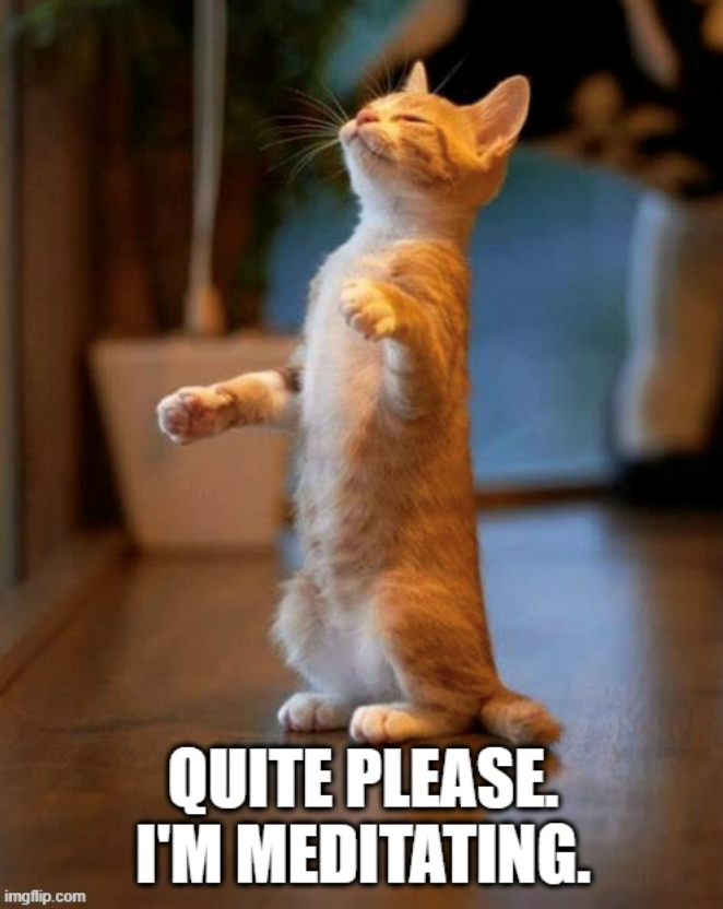 imgflip.com QUITE PLEASE. I'M MEDITATING.