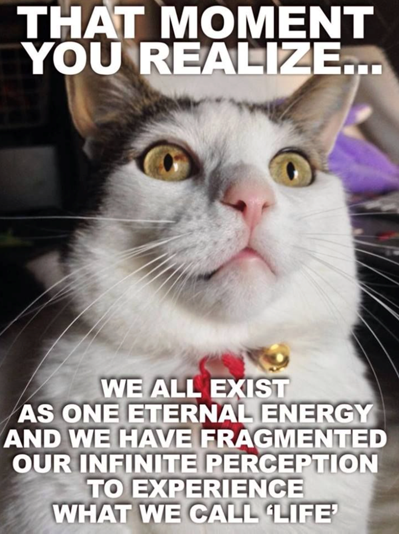 THAT MOMENT YOU REALIZE... WE ALL EXIST AS ONE ETERNAL ENERGY AND WE HAVE FRAGMENTED OUR INFINITE PERCEPTION TO EXPERIENCE WHAT WE CALL LIFE'