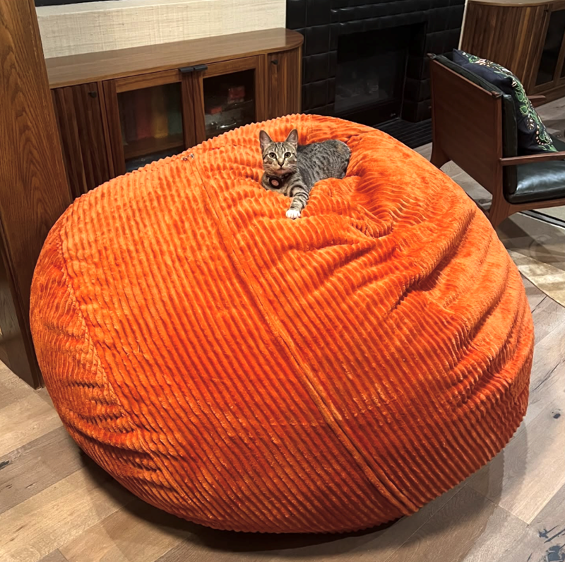 Cheezburger Image 10619379200