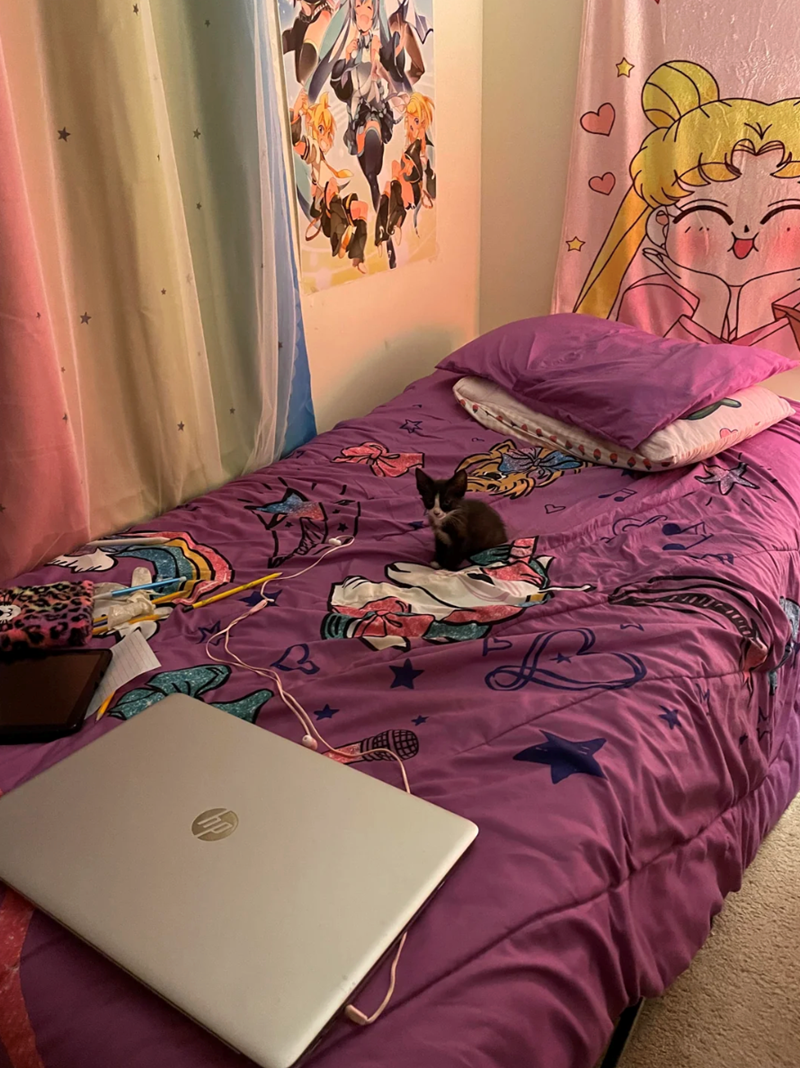 Cheezburger Image 10619379712