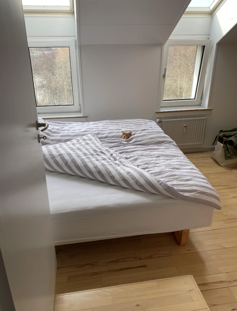 Cheezburger Image 10619380992